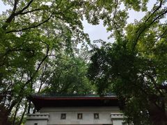 -岳麓山风景名胜区