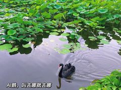 -颐和园