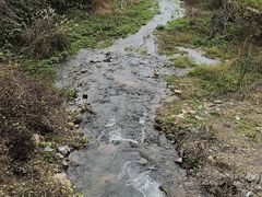 -千年银杏谷文化旅游区