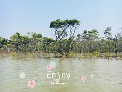 -东寨港红树林旅游区