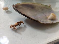 -丽江庭院之丽江往事(安定门店)