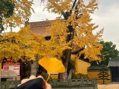 -圆通寺