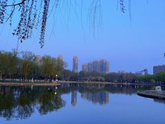 -泰丰公园