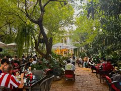 -Fern Forest Cafe