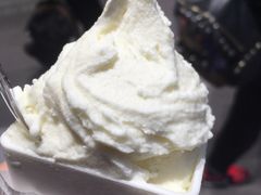 -野人先生现做冰淇淋(西安赛格店)