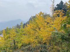 -凤栖山