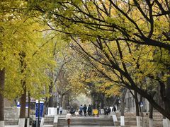 -山东师范大学(千佛山校区)