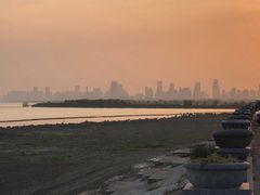 -合肥滨湖国家森林公园