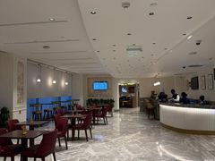 -英迪拉·甘地国际机场