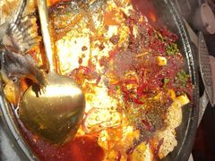 -探鱼·鲜青椒爽麻烤鱼(领展购物广场店)