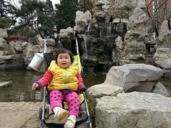 android_upload_pic-沈阳南湖公园