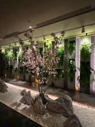 -VELEE·SPA高定疗愈会所