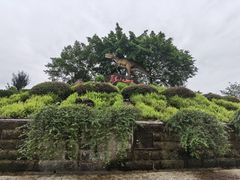 -自贡恐龙博物馆