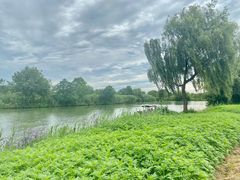 -西溪国家湿地公园