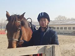 -北京群众马术培训基地