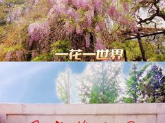 -国家植物园
