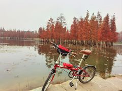 -白鹭湾湿地公园