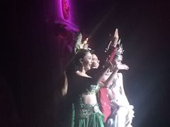 -金东尼人妖秀