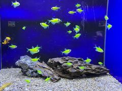 -海合安青岛极地海洋公园