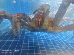 -日进一片海.生腌海鲜火锅.宵夜烧烤(三里屯总店)