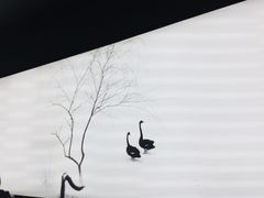 -BLACKSWAN黑天鹅(环球店)