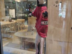 -藏猫猫咖啡主题馆(中央大道店)