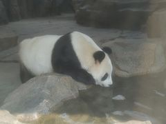 -宁波野生动物园