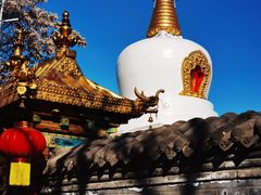 -护国法轮寺