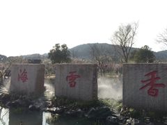 -香雪海
