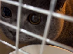 -佳雯宠物医院·皮肤科·内外科(春晓路分院)