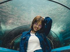 -悉尼海洋生物水族馆
