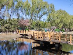 -东升八家郊野公园