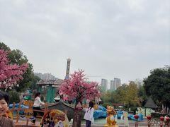 -南湖梦幻岛