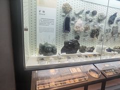 -浙江自然博物院(杭州馆)
