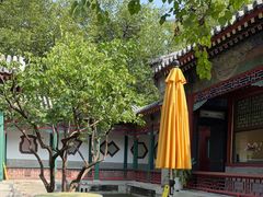 -宫事颐庭·老佛爷贵寿下午茶(颐和园店)