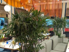 -三江源活鱼现烤(维多利摩尔城店)