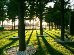 -羊亭河湿地公园