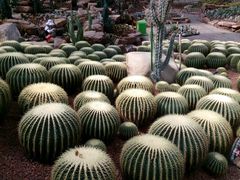 -南通洲际绿博园