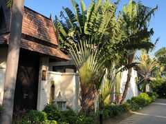-水润轩私厨海南菜餐厅(铂尔曼酒店)