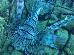 -常州海昌海洋探索馆