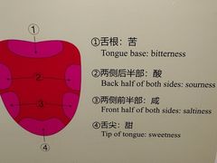 -中国茶叶博物馆(双峰馆区)