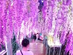 -三亚市图书馆