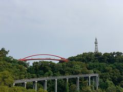 -金鸡山公园