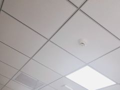 -新航道雅思托福·留学·考研培训(人民广场校区)