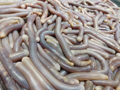 -三亚火车头万人海鲜广场