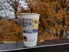 -茶颜悦色(岳麓山顶店)