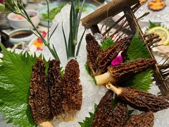 -大舜国风· 和牛火锅(绮霞街店)
