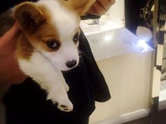 -年巴羊肉铺老铜锅(梅江店)