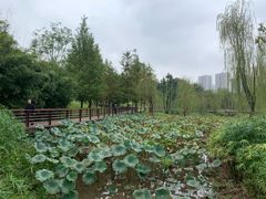 -沐仙湖湿地公园