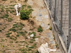 -石家庄市动物园